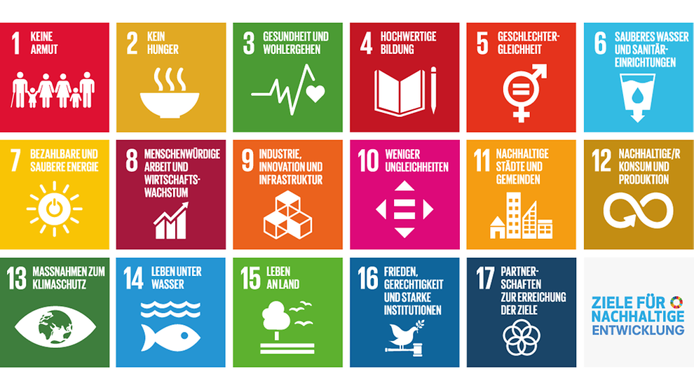 SDG 17 Ziele für nachhaltige Entwicklung